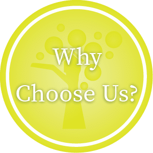 Why Choose Us Logo Renton Kids Dentistry